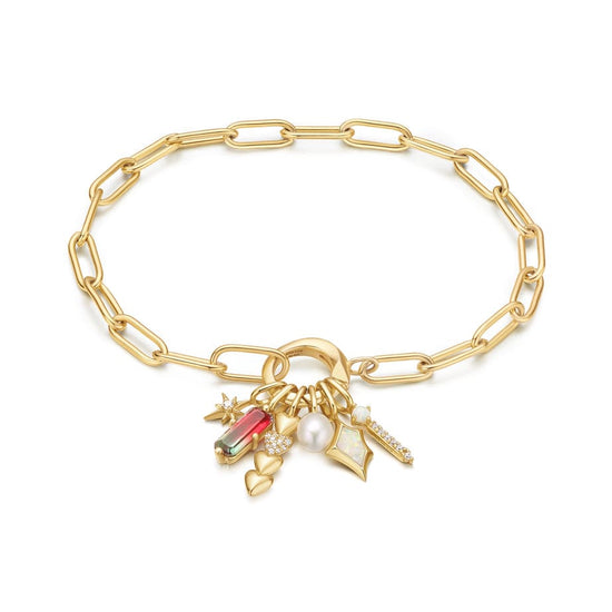 CHM-GPL Gold Faceted Red Charm