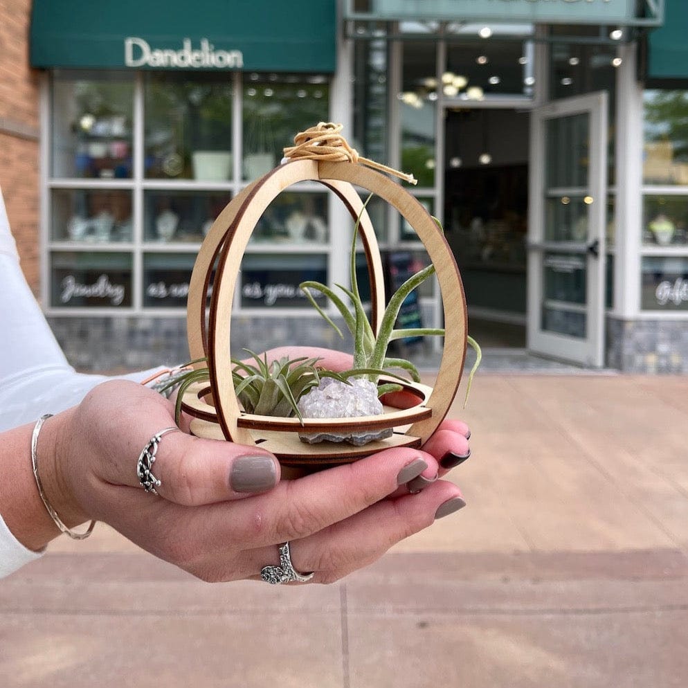 air plant holder hanging Deluxe Large Orbit Air Plant Holder With Amethyst Crystal