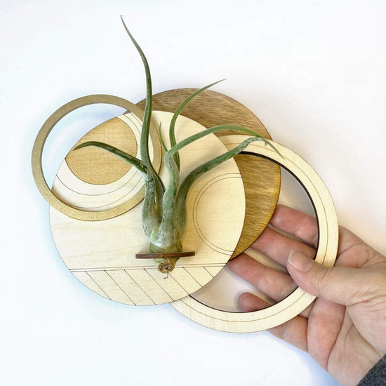 GIFT Geometric Plant Holder with Plant - Circle Design 3