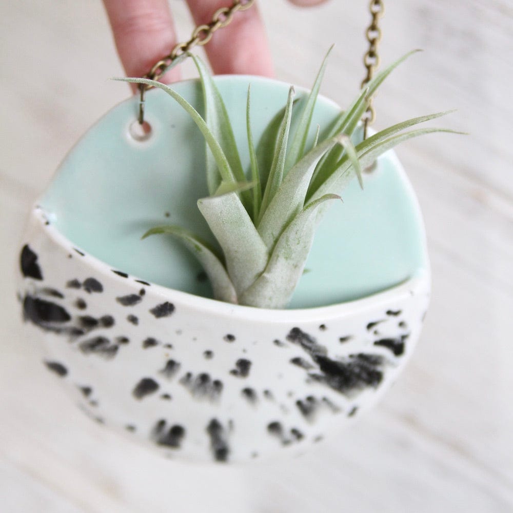 air plant pottery MEDIUM CERAMIC PLANTER POCKET WITH AIR PLANT – Dandelion Jewelry