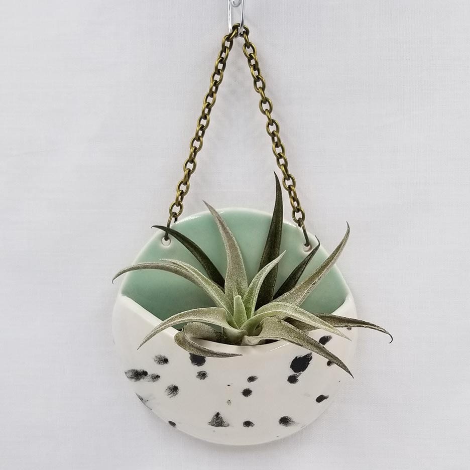 air plant jewelry SMALL CERAMIC PLANTER POCKET WITH AIR PLANT – Dandelion Jewelry