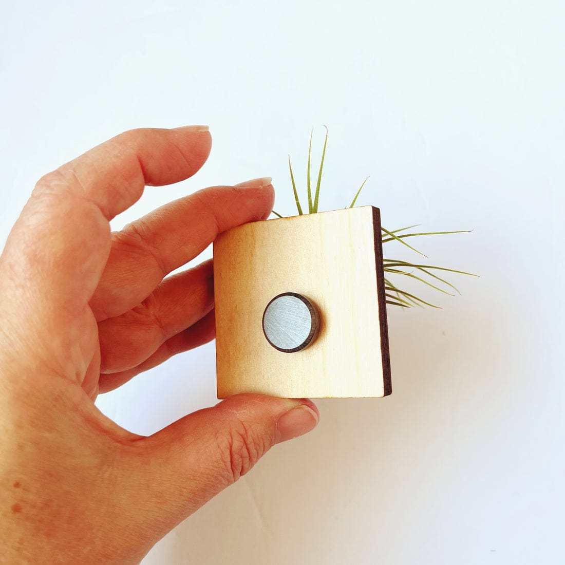 GIFT Square Mini Magnetic Geometric Plant Holder with Plant