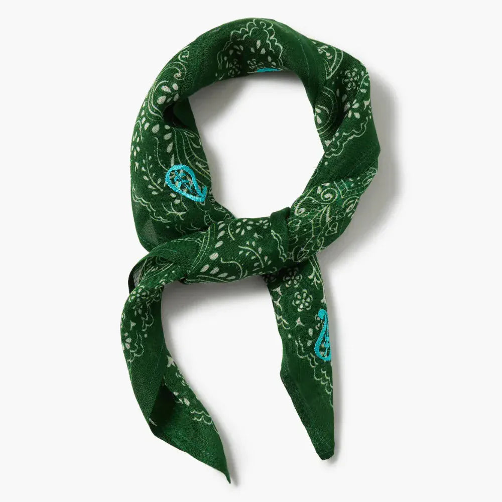 Eden Green Embroidered Paisley Bandana – Dandelion Jewelry