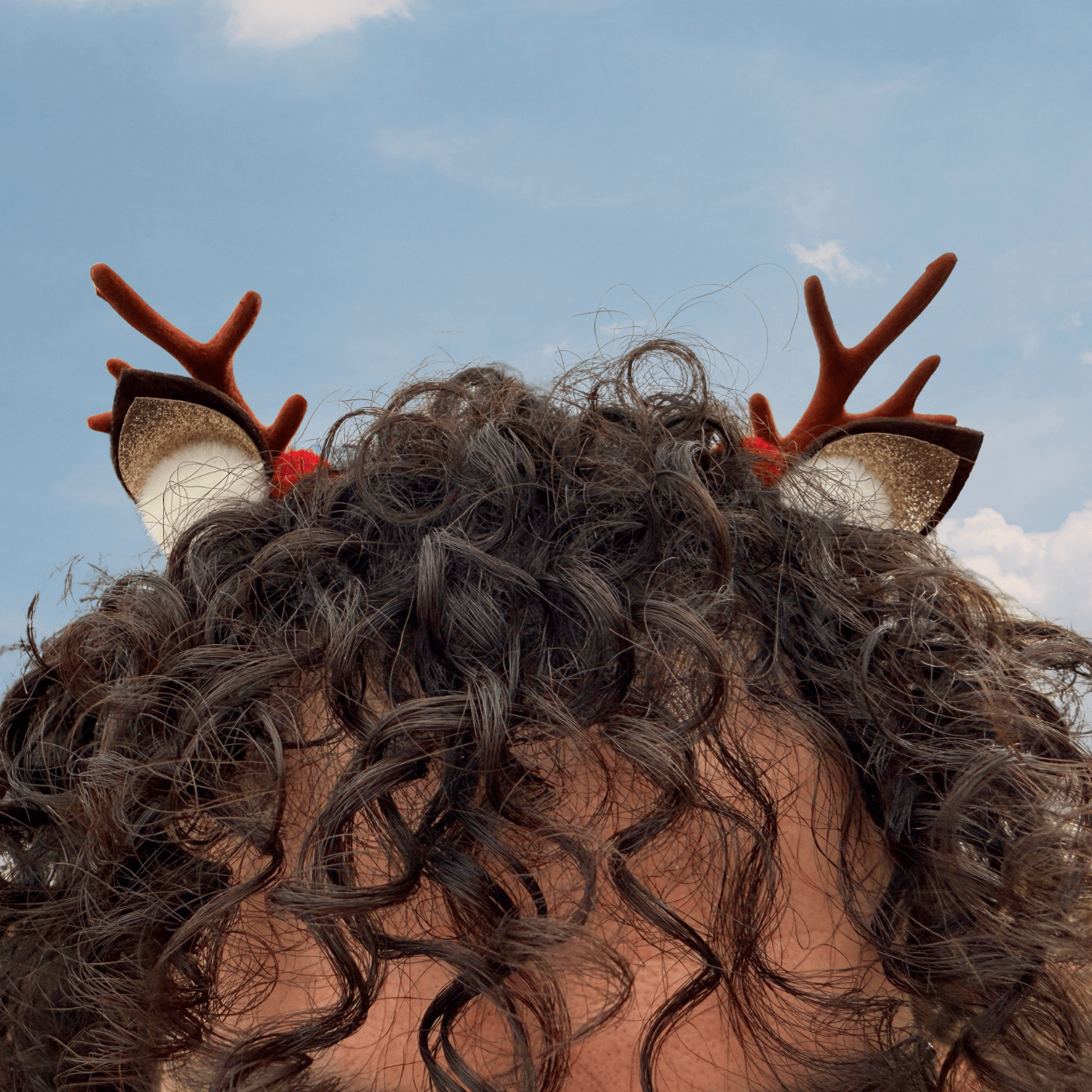 ACC Holiday Antler & Ears Hair Clips