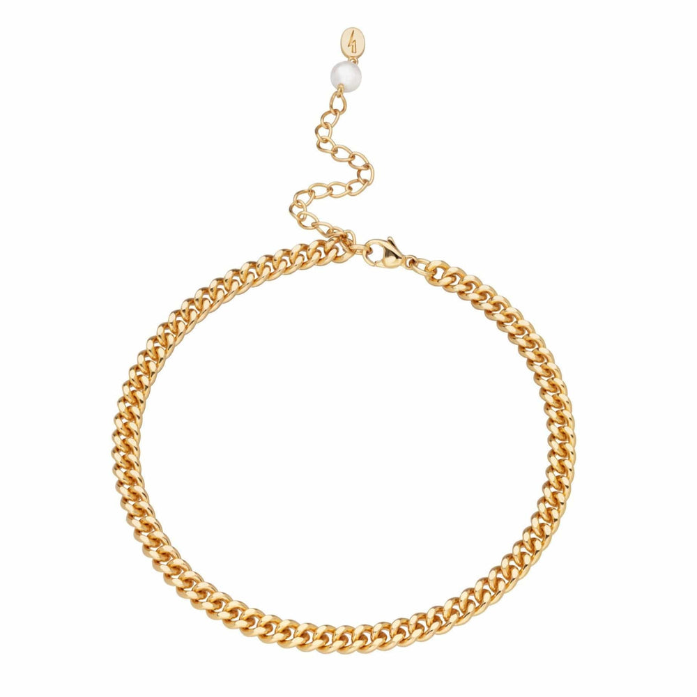 
                      
                        ANK-GPL Hannah Martin Curb Chain Anklet - 18k Gold Plated
                      
                    