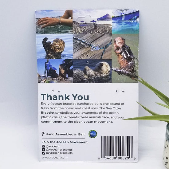 BRC 4Ocean Sea Otter Bracelet