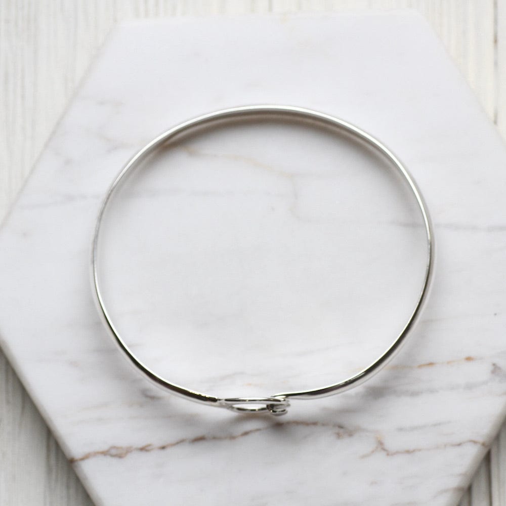 
                      
                        BRC Bangle with Circle Buckle
                      
                    