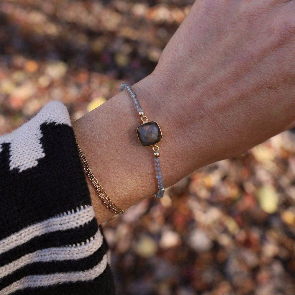 
                  
                    BRC- GF Labradorite Beads with Square Labradorite Link Bra
                  
                