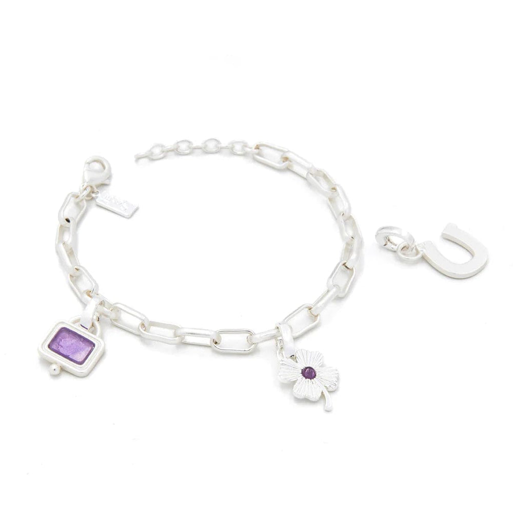 BRC Interchangeable Charm Bracelet - Amethyst/Protection/Silver