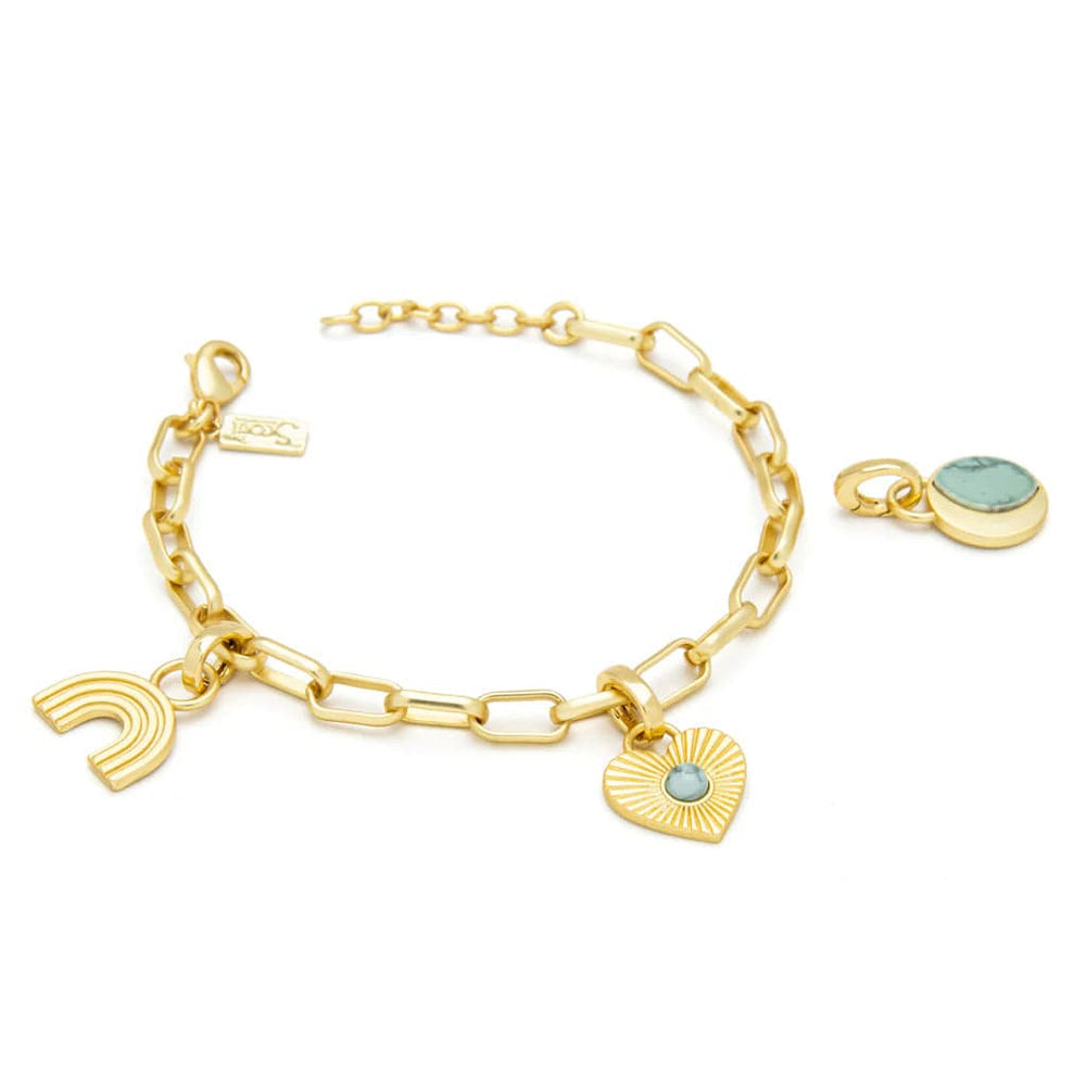 
                  
                    BRC Interchangeable Charm Bracelet - Blue Howlite/Harmony/Gold
                  
                