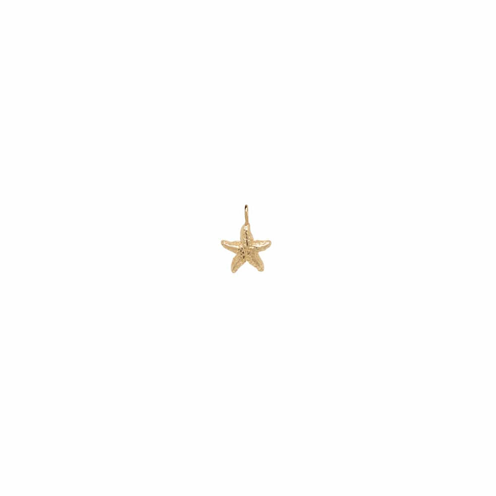 CHM-14K 14k Gold Single Starfish Charm