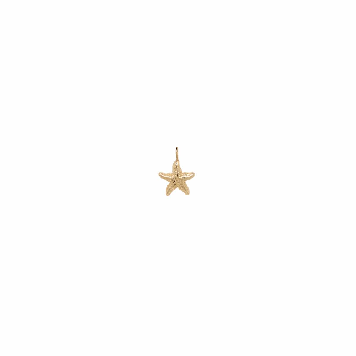 CHM-14K 14k Gold Single Starfish Charm