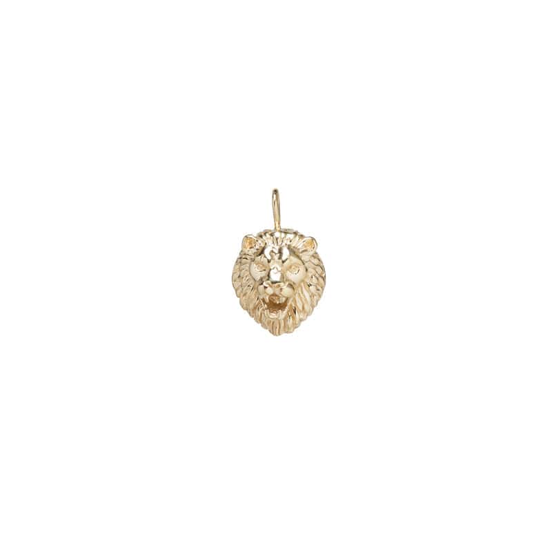 CHM-14K 14k Single Lion Head Charm