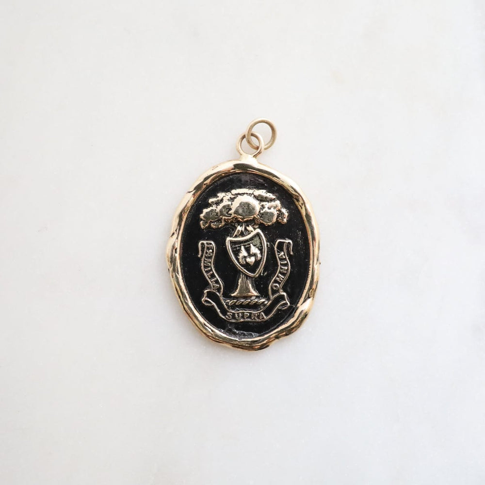 CHM-14k CHARM ONLY 14k Blackened Gold Family Above All Talisman