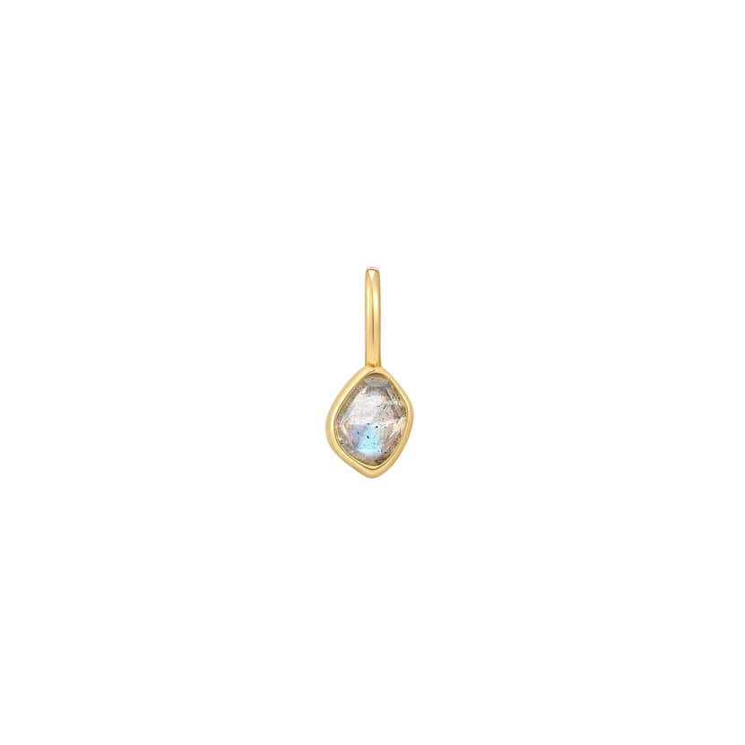 
                  
                    CHM-GPL Gold Labradorite Charm
                  
                