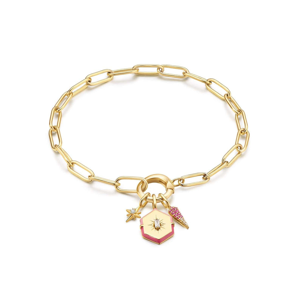 
                      
                        CHM-GPL Gold Ombre Pink Charm
                      
                    