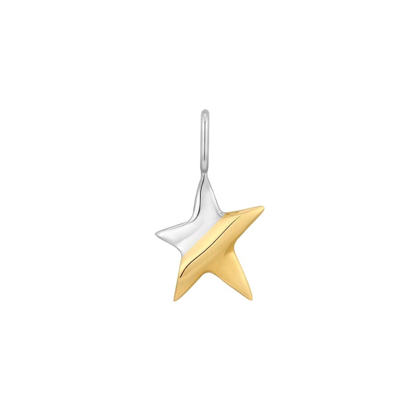 
                      
                        CHM-GPL Two Tone Star Charm
                      
                    