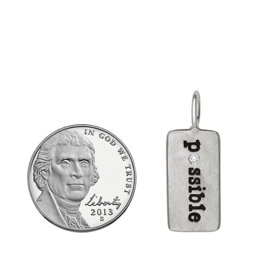 
                  
                    CHM Possible ID Tag
                  
                