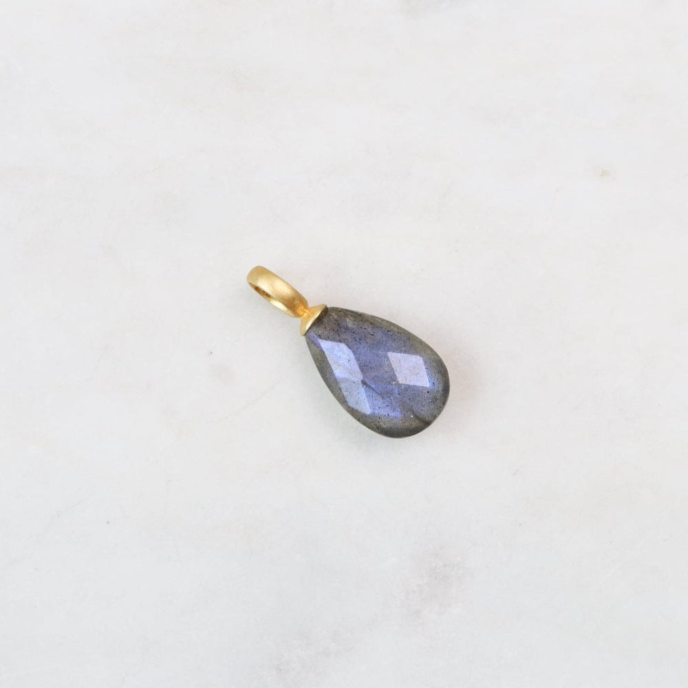 
                  
                    CHM-VRM Labradorite Pendant
                  
                