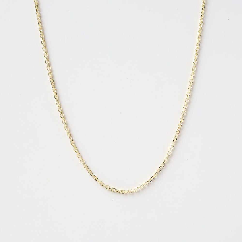 
                      
                        CHN Gold Plated Cable Chain - 18"
                      
                    