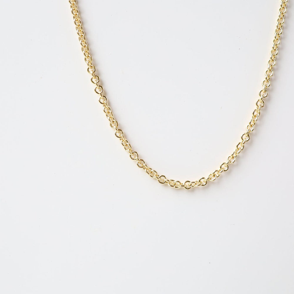 
                      
                        CHN-GPL Gold Plated Rolo Chain - 30"
                      
                    