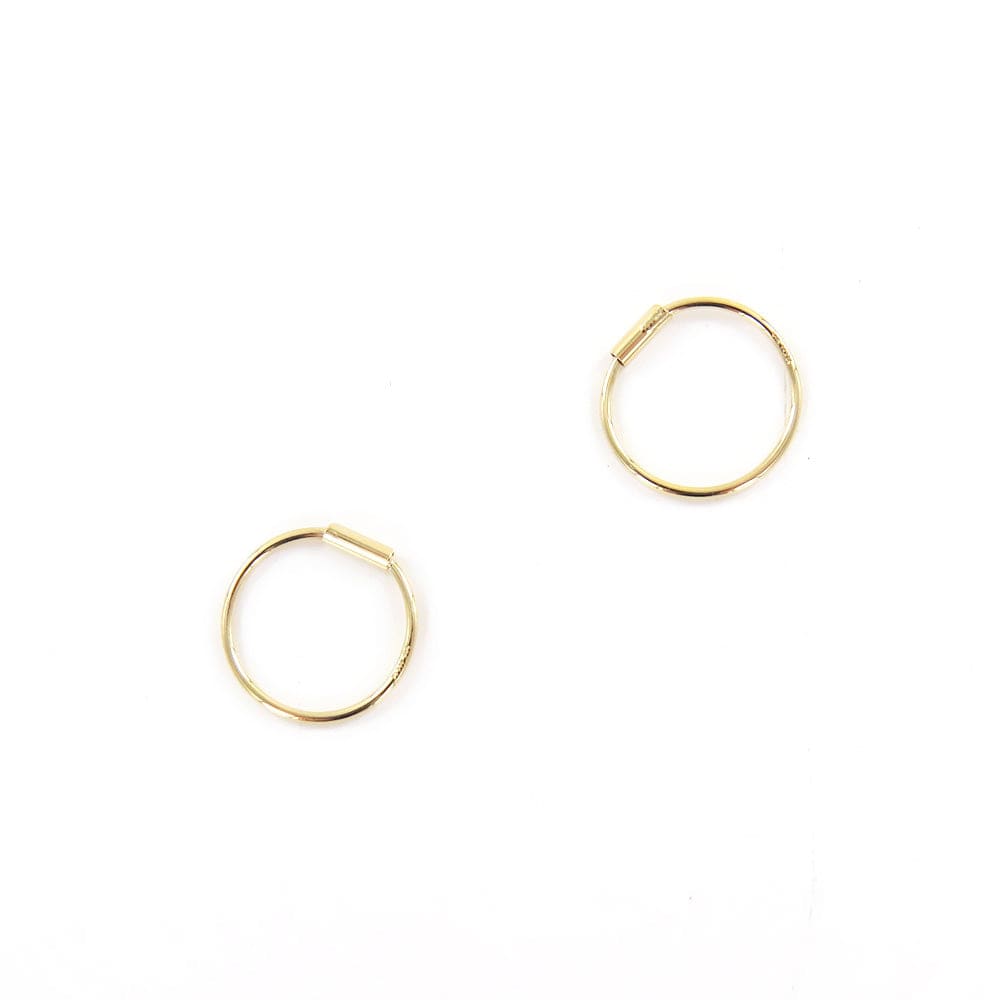 
                      
                        EAR-14K 12mm 14k Gold Hoop Sleepers
                      
                    