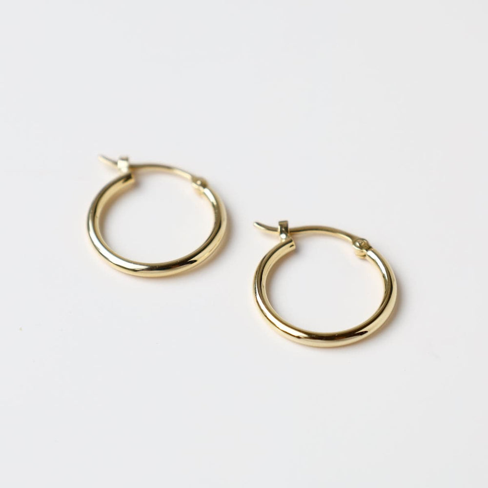 
                      
                        EAR-14K 14k 1.5x15mm Tube Hoop
                      
                    