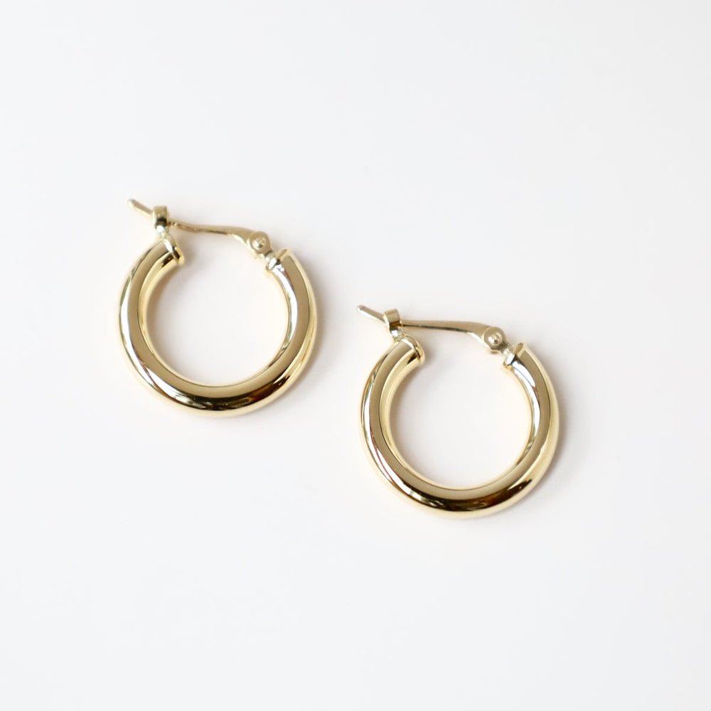 
                      
                        EAR-14K 14k 2.5X15mm Tube Hoop
                      
                    