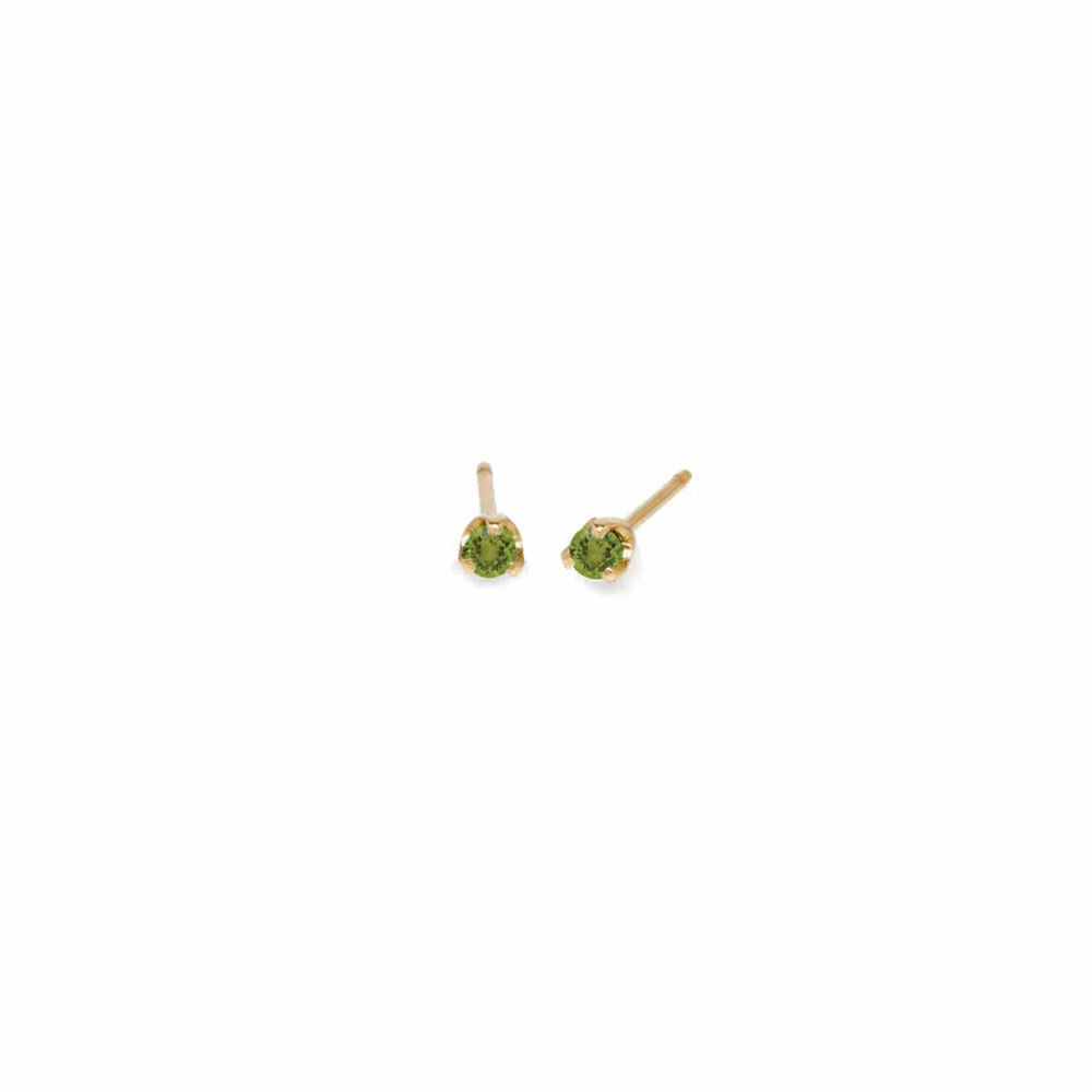 
                      
                        EAR-14K 14k 2mm Birthstone Stud Earrings
                      
                    