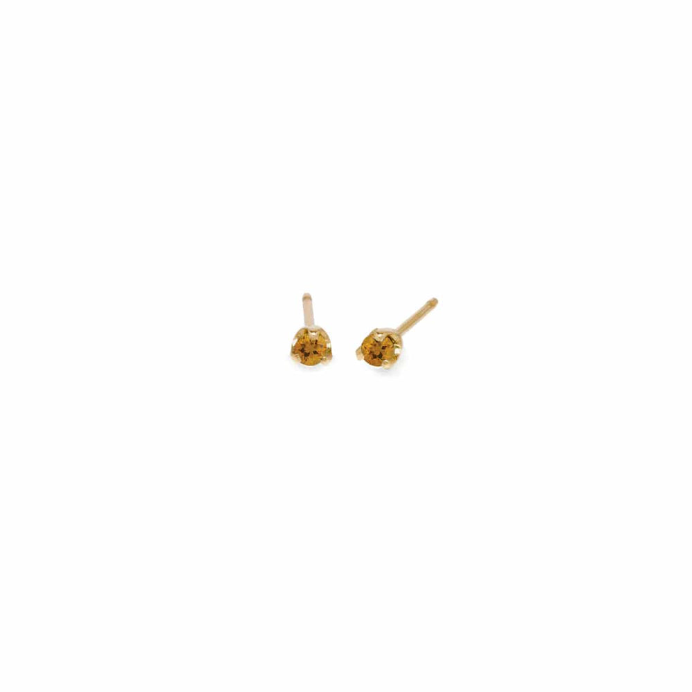 
                      
                        EAR-14K 14k 2mm Birthstone Stud Earrings
                      
                    