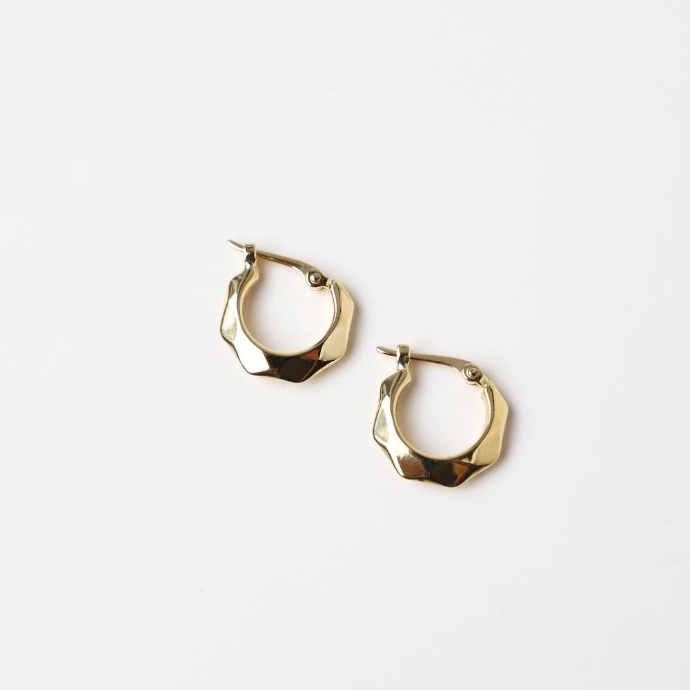 
                      
                        EAR-14K 14K Diamond Cut Hoop
                      
                    