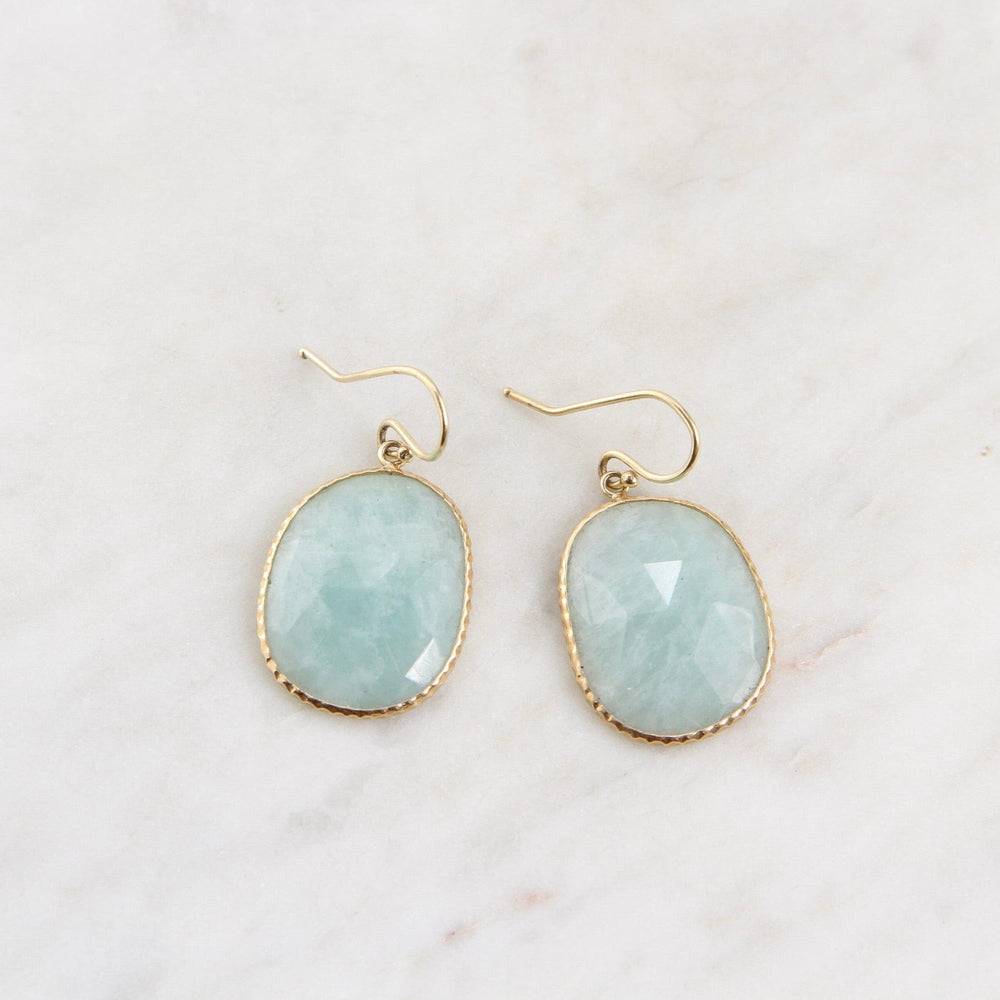 
                      
                        EAR-14K 14k Gold Amazonite Slice Earring
                      
                    