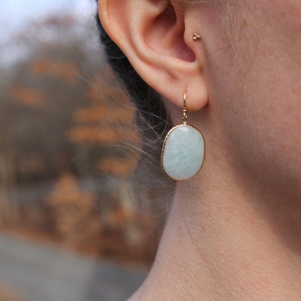 
                      
                        EAR-14K 14k Gold Amazonite Slice Earring
                      
                    