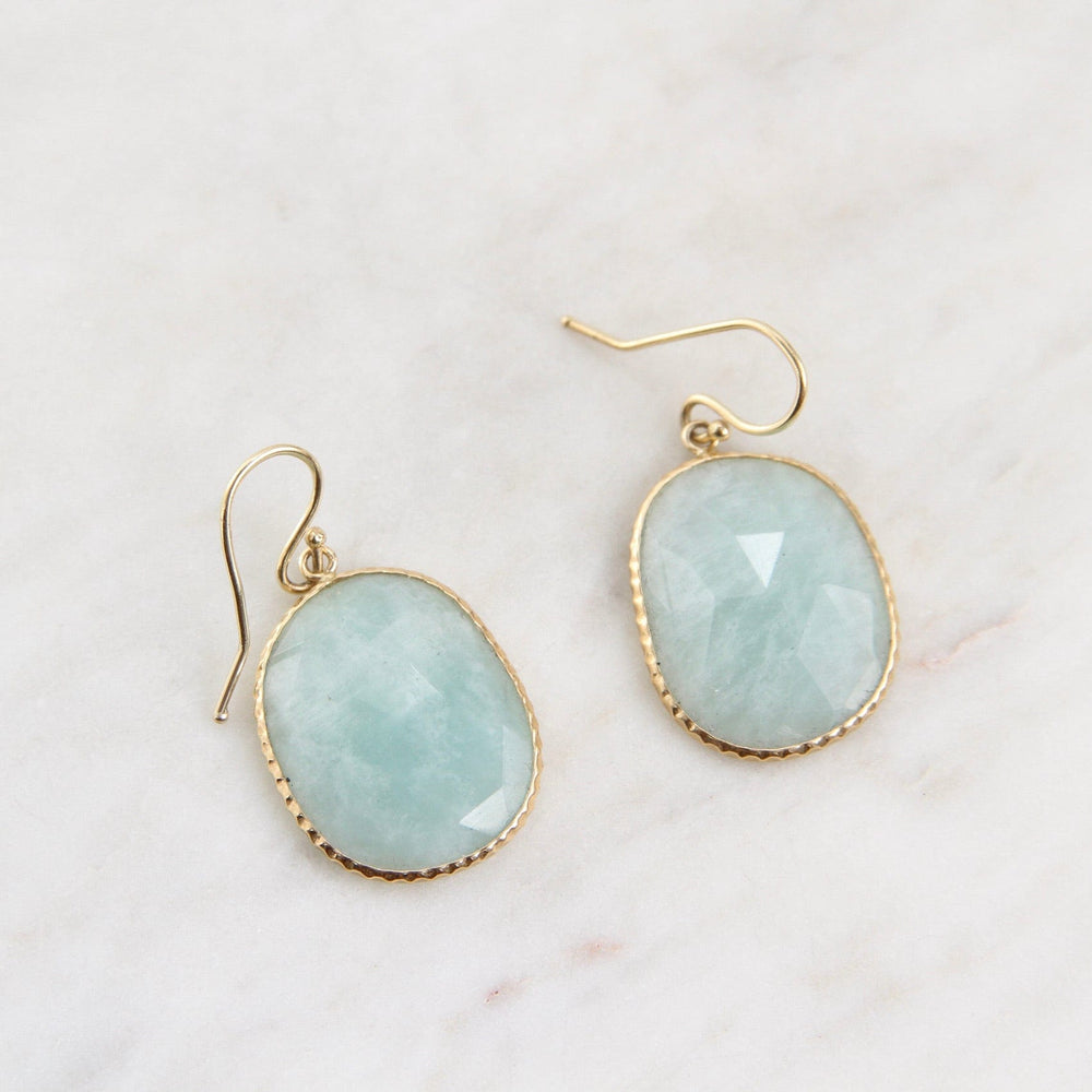 
                      
                        EAR-14K 14k Gold Amazonite Slice Earring
                      
                    