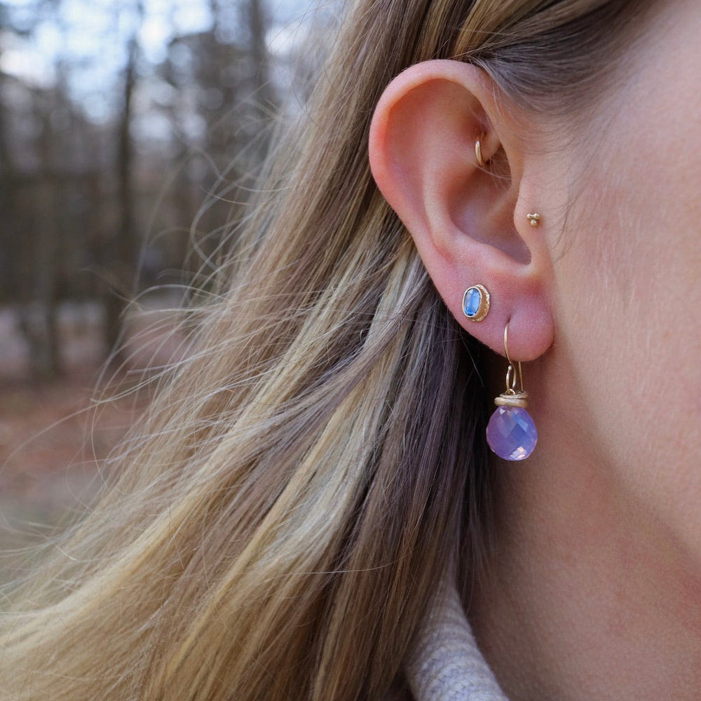 
                      
                        EAR-14K 14K Gold Earrings with 12mm Faceted Lavender Ameth
                      
                    