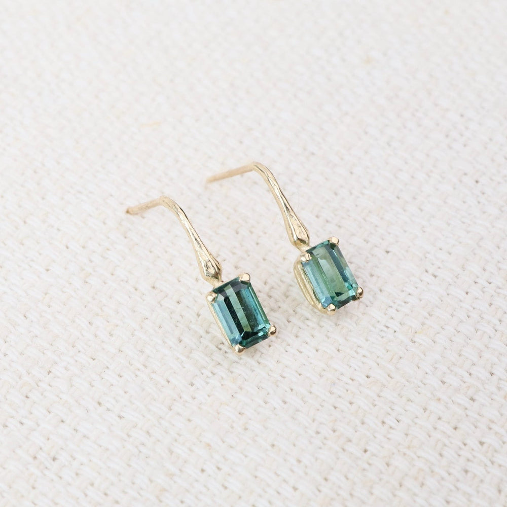 
                  
                    EAR-14K 14k Gold Emerald Cut Blue Green Tourmaline Earrings
                  
                