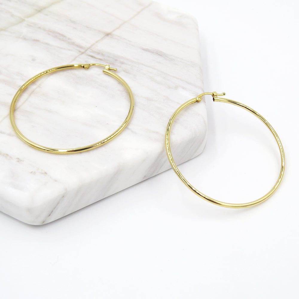 
                      
                        EAR-14K 14k Gold Large Thin Hoops
                      
                    