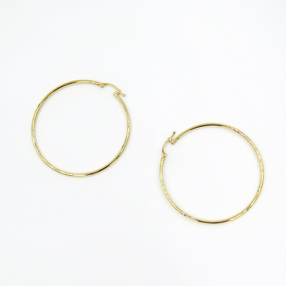 
                      
                        EAR-14K 14k Gold Large Thin Hoops
                      
                    