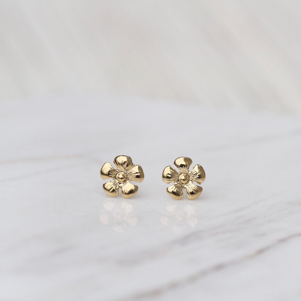 
                      
                        EAR-14K 14k Gold Small Daisy Flower Post Earrings
                      
                    