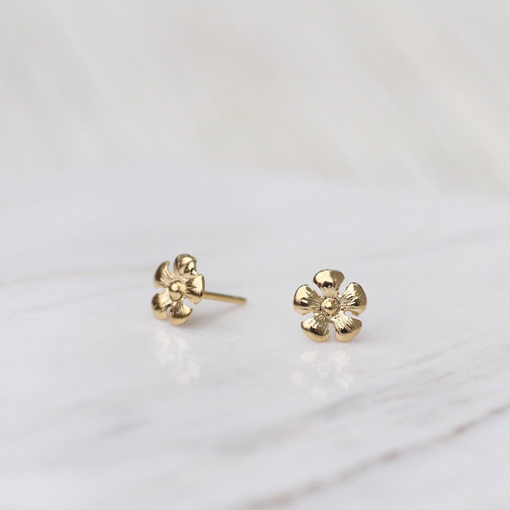 
                      
                        EAR-14K 14k Gold Small Daisy Flower Post Earrings
                      
                    