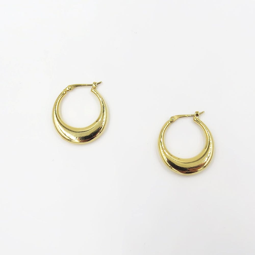 
                      
                        EAR-14K 14k Gold Small Polished Crescent Hoop
                      
                    