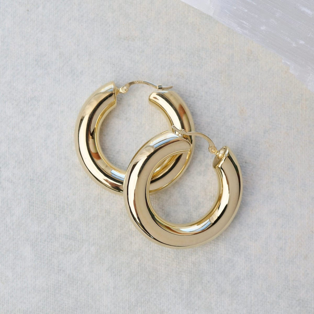 
                      
                        EAR-14K 14k Medium 6x30mm Donut Hoops
                      
                    