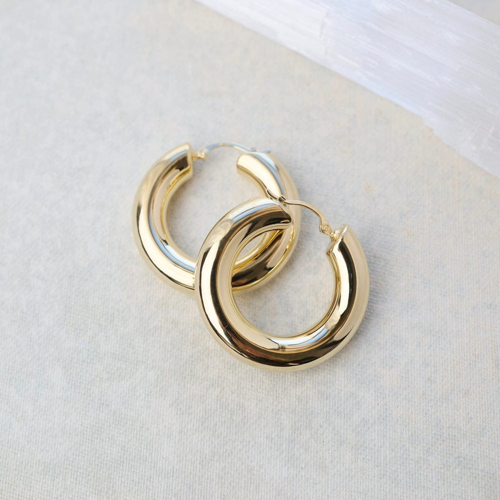 
                      
                        EAR-14K 14k Medium 6x30mm Donut Hoops
                      
                    