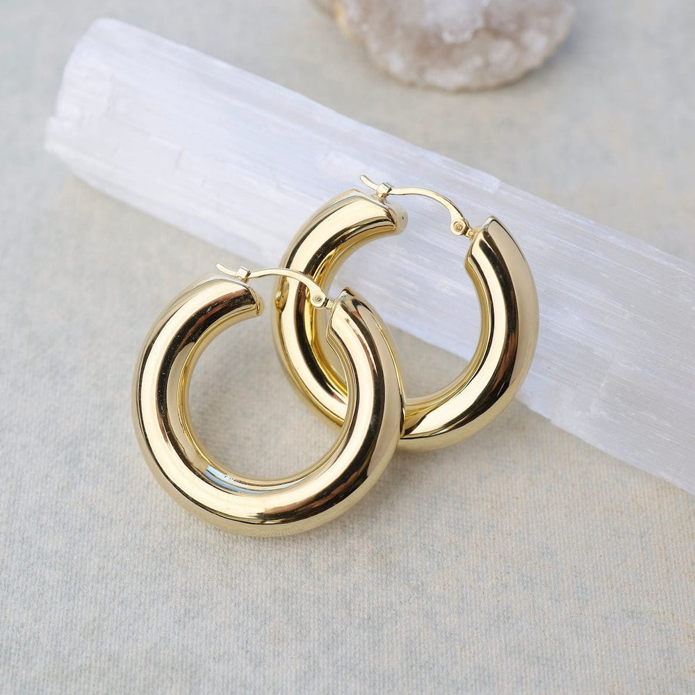 
                      
                        EAR-14K 14k Medium 6x30mm Donut Hoops
                      
                    