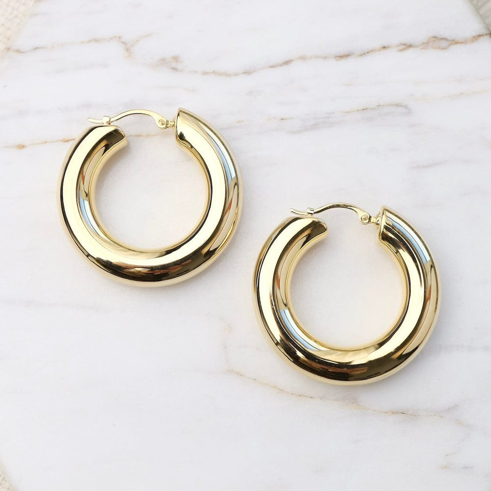 
                      
                        EAR-14K 14k Medium 6x30mm Donut Hoops
                      
                    