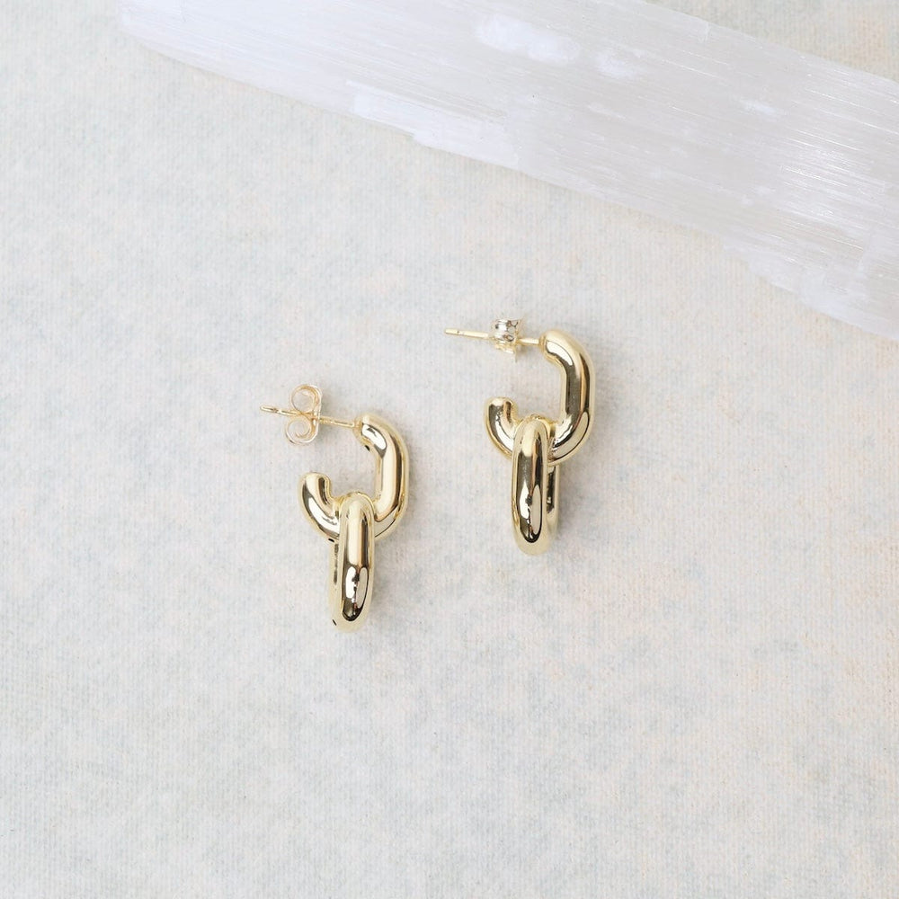 
                  
                    EAR-14K 14K Small Double Link Hoop Earrings
                  
                