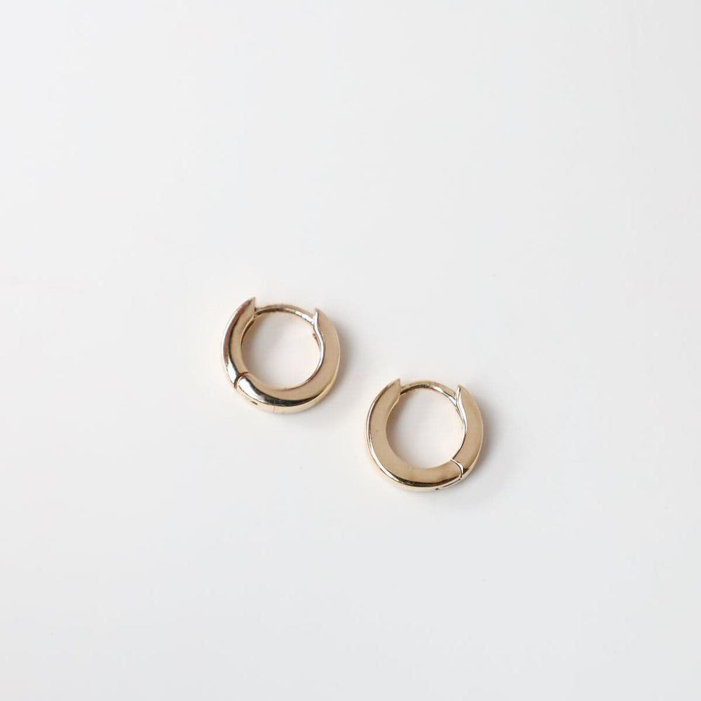 
                      
                        EAR-14K 14k Small Hinged Hoop
                      
                    