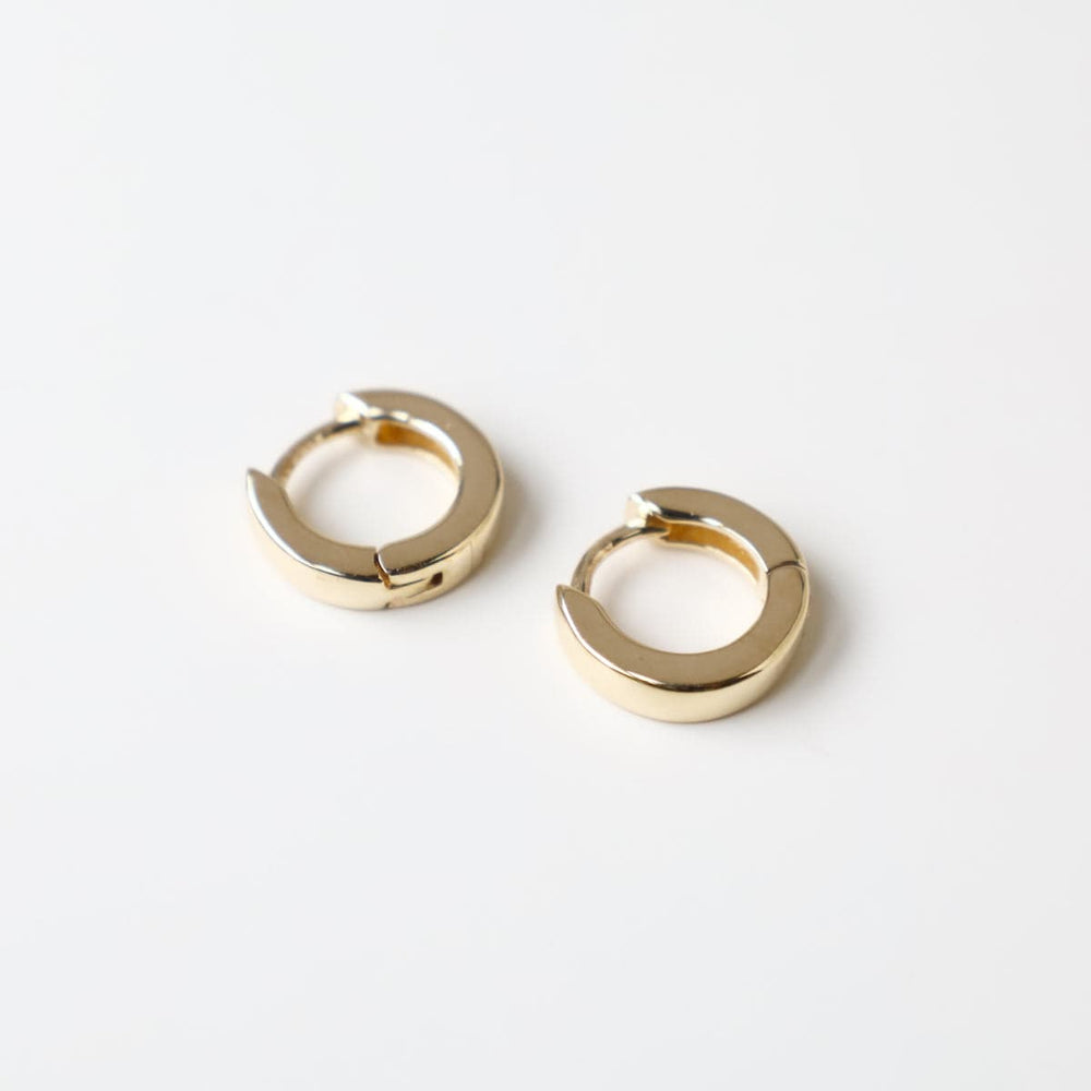 
                      
                        EAR-14K 14k Small Hinged Hoop
                      
                    