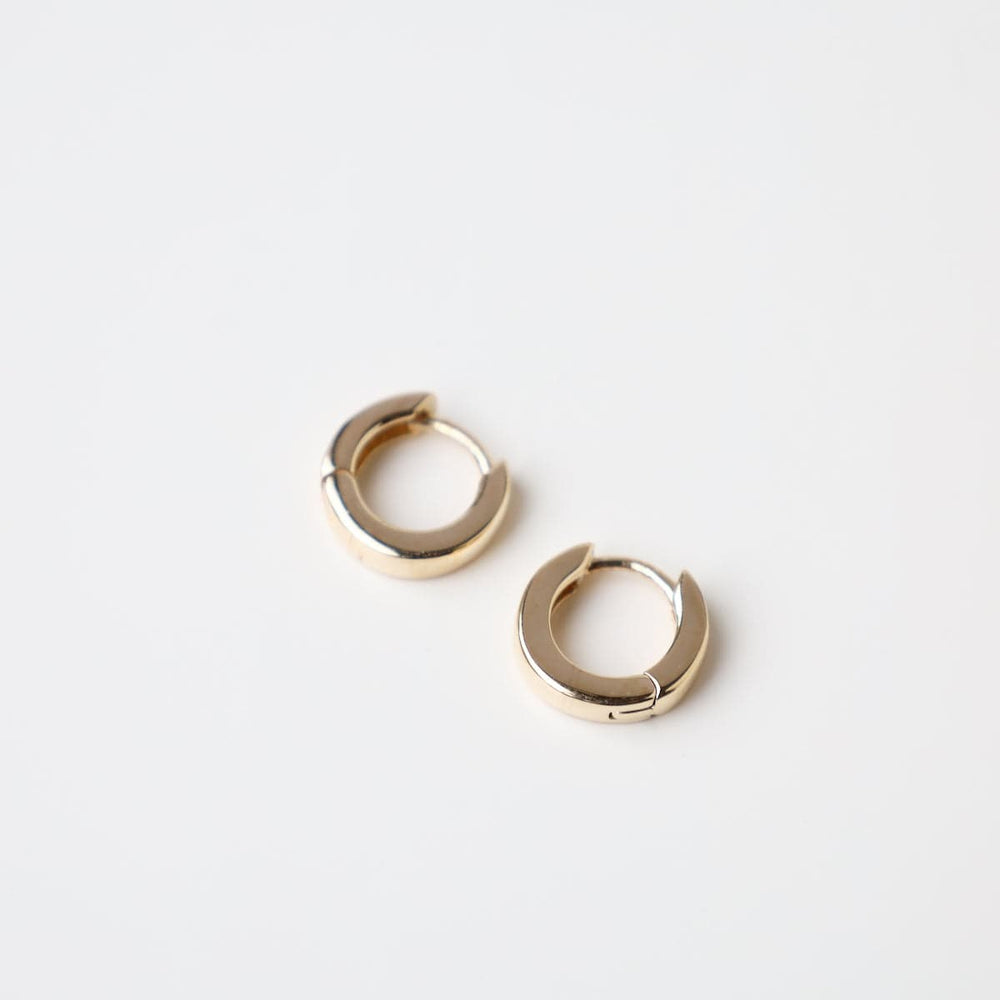 
                      
                        EAR-14K 14k Small Hinged Hoop
                      
                    