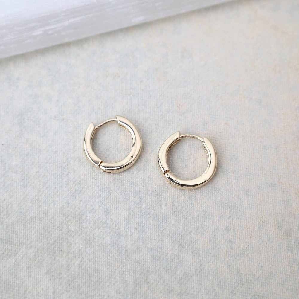 
                      
                        EAR-14K 14k Small Hinged Hoop
                      
                    